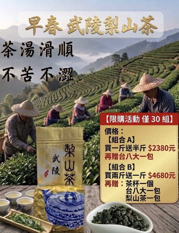 🍃武陵梨山早春茶